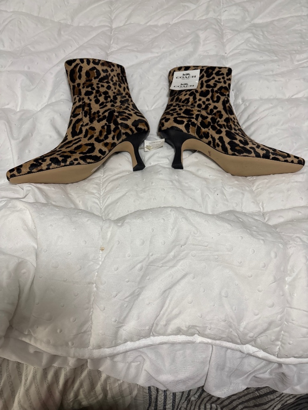 Brand new Coach ankle boots